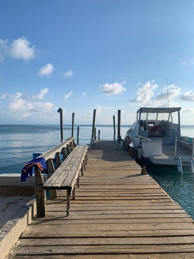 Paradise Divers Hotel Utila Kültér fotó